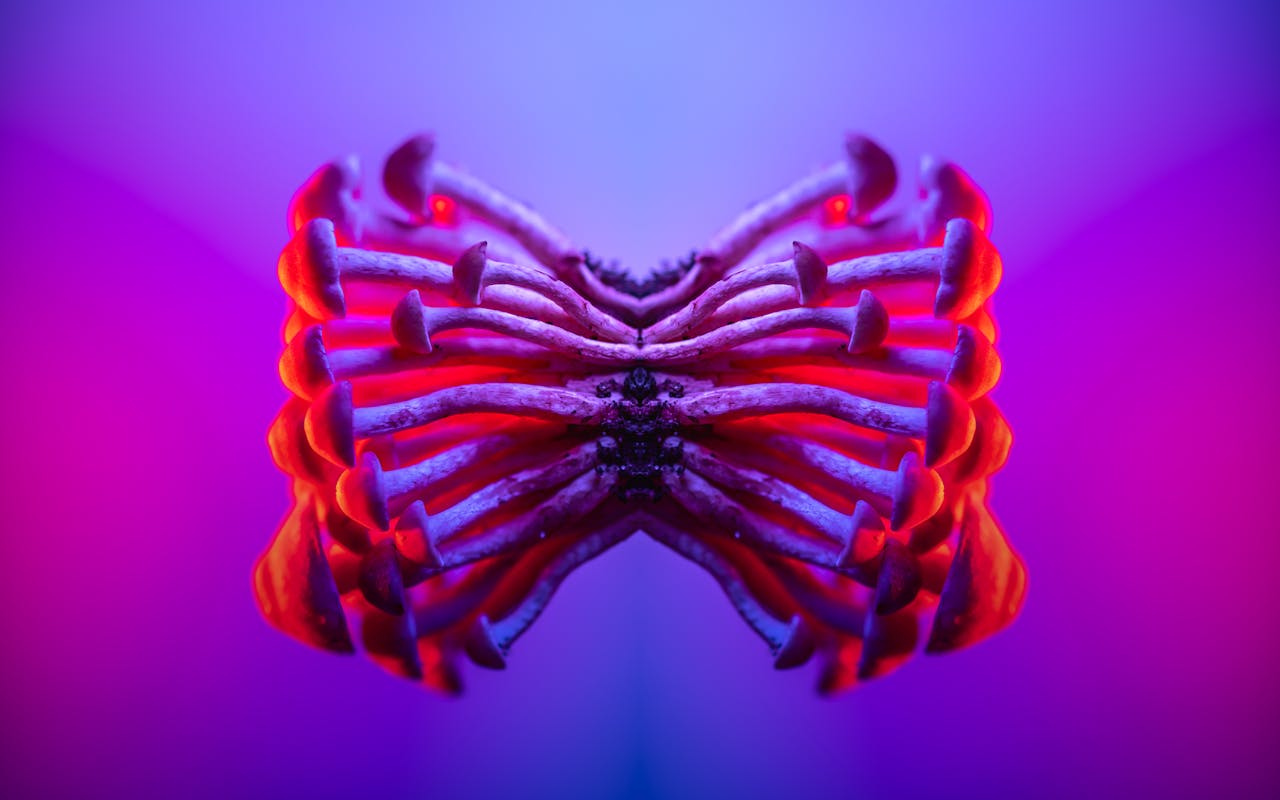 A vivid display of mirrored mushrooms with neon colors creating an abstract and mesmerizing effect.